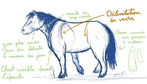 Dessiner un cheval