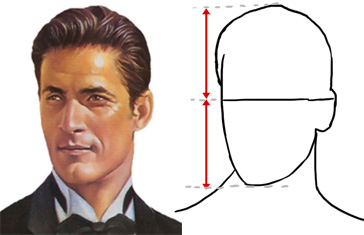 Proportions du visage