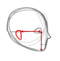 Placement de l'oreille de profil