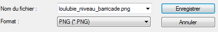 Enregistrer au format PNG